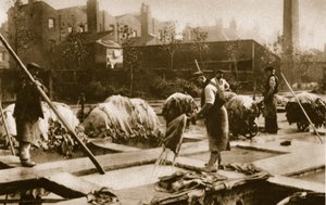 Making leather in the lime yard at Neckinger Mills by English Photographer